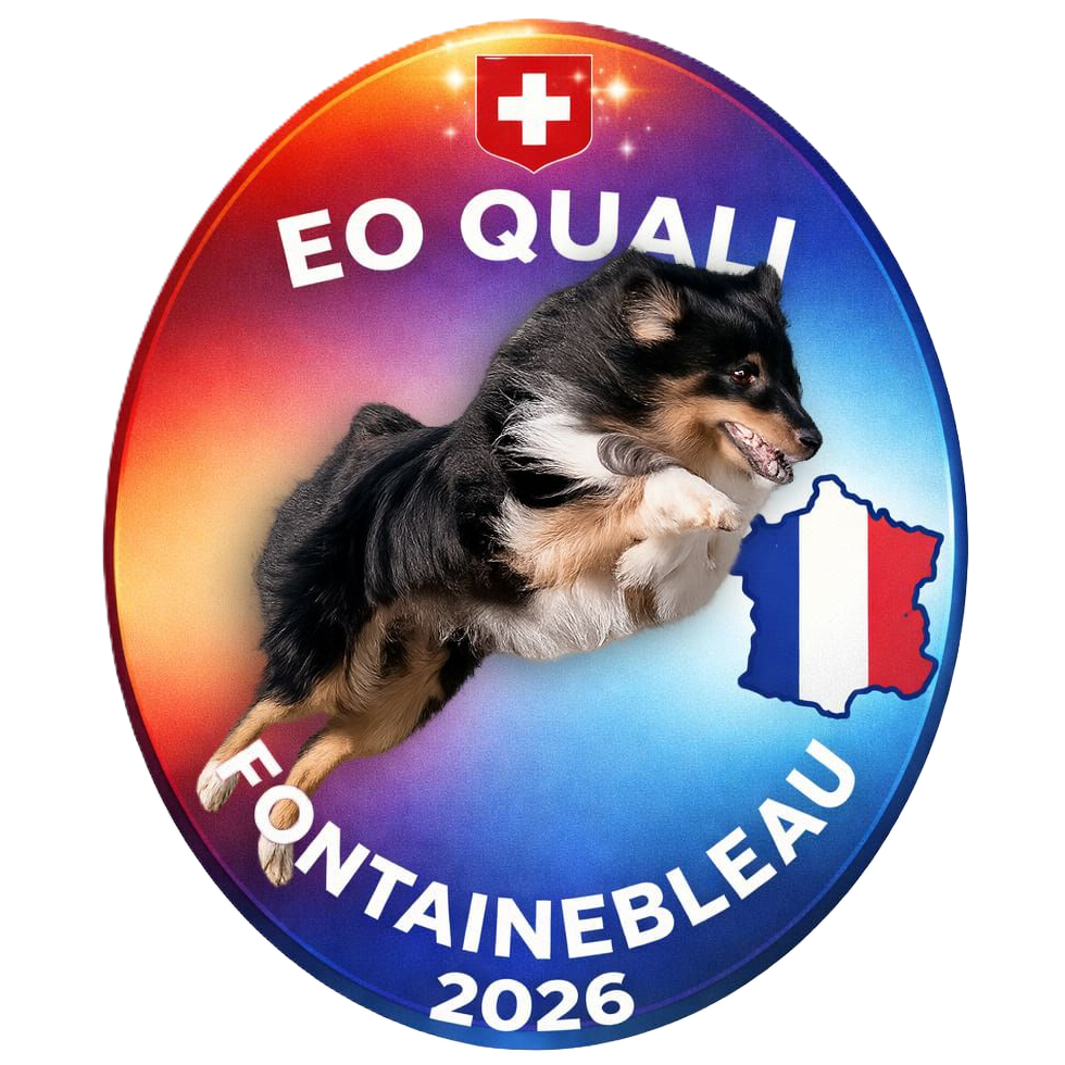 Agility EO Quali 2026